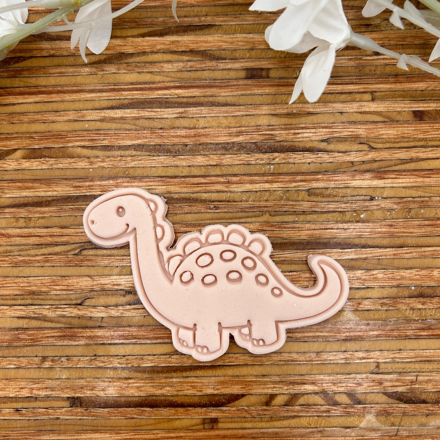 Baby Stegasaurus  Dinosaur Stamp and Cutter Set